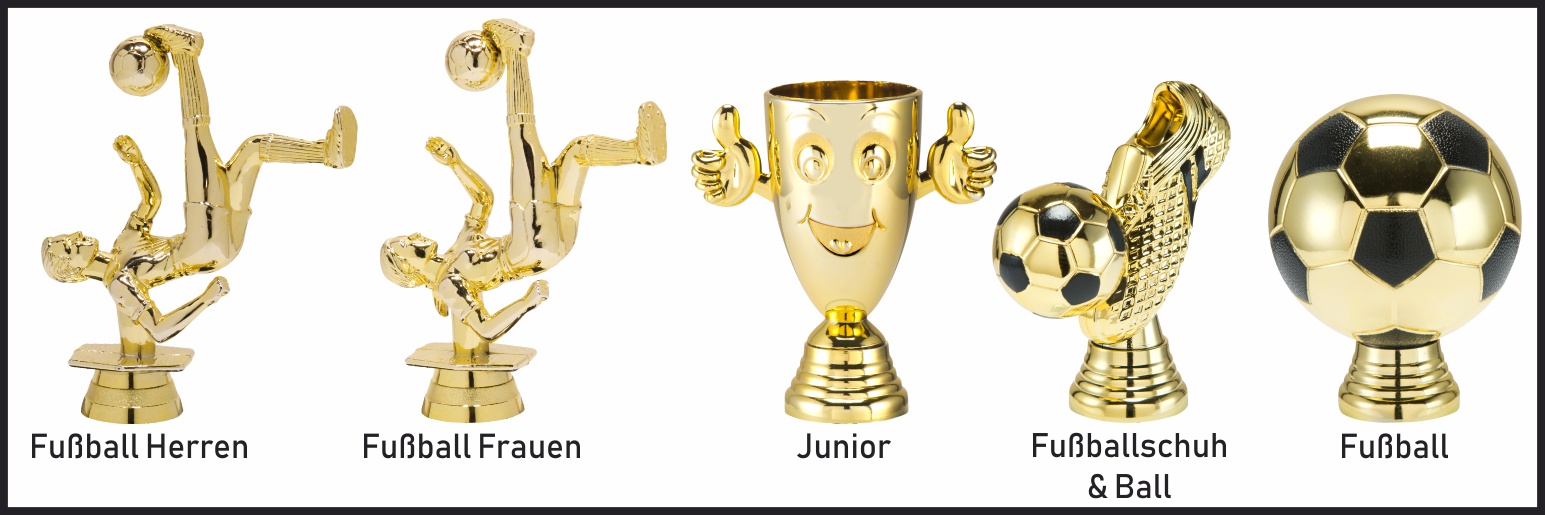 Fastfix Fußball gold