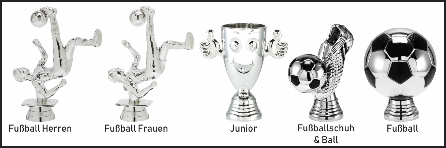 Fastfix Fußball silber